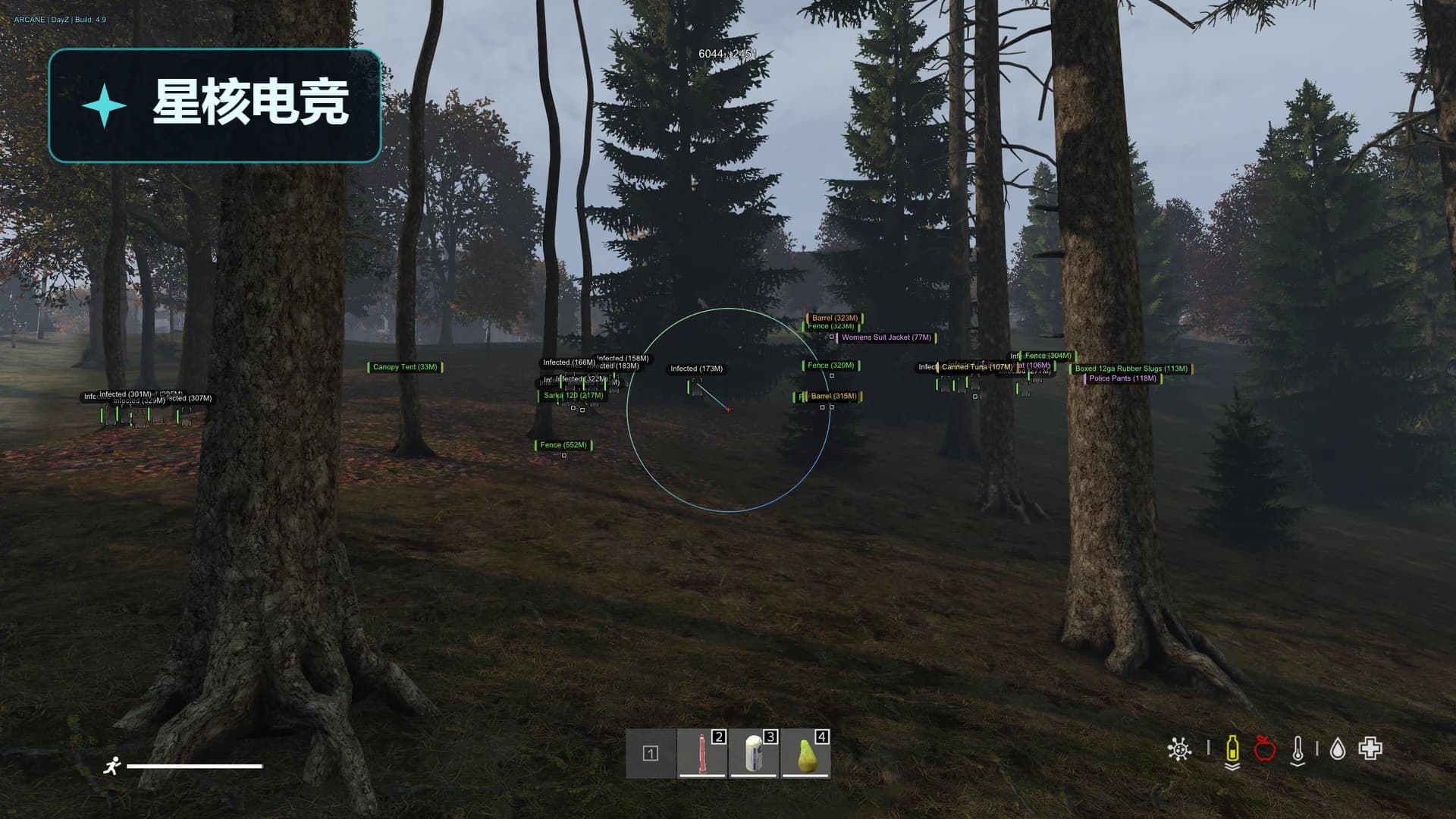 DAYZ · ARCANE